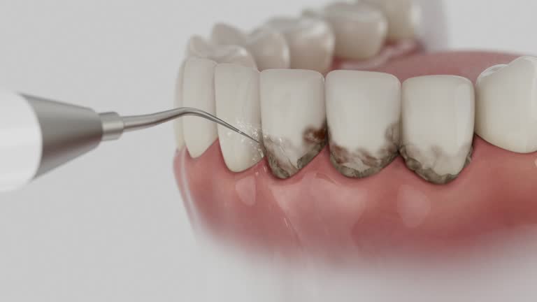 Reliable Dental contractor in Buckeystown, MD by Dentist Open Now